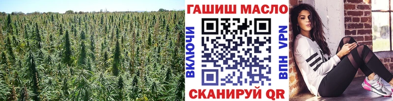 Купить закладки  Макушино  Дистиллят ТГК гашишное масло 