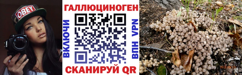 Галлюциногенные грибы GOLDEN TEACHER  Купить  Макушино 