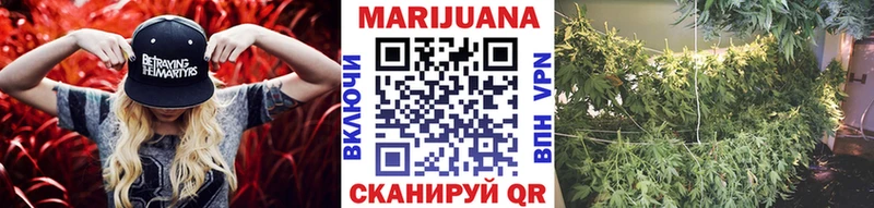 Бошки Шишки THC 21%  Купить закладки  Макушино 